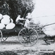 Image for article titled Freakish, Century-Old "Tall Tale Postcards" Were the 'Shops of Their Day